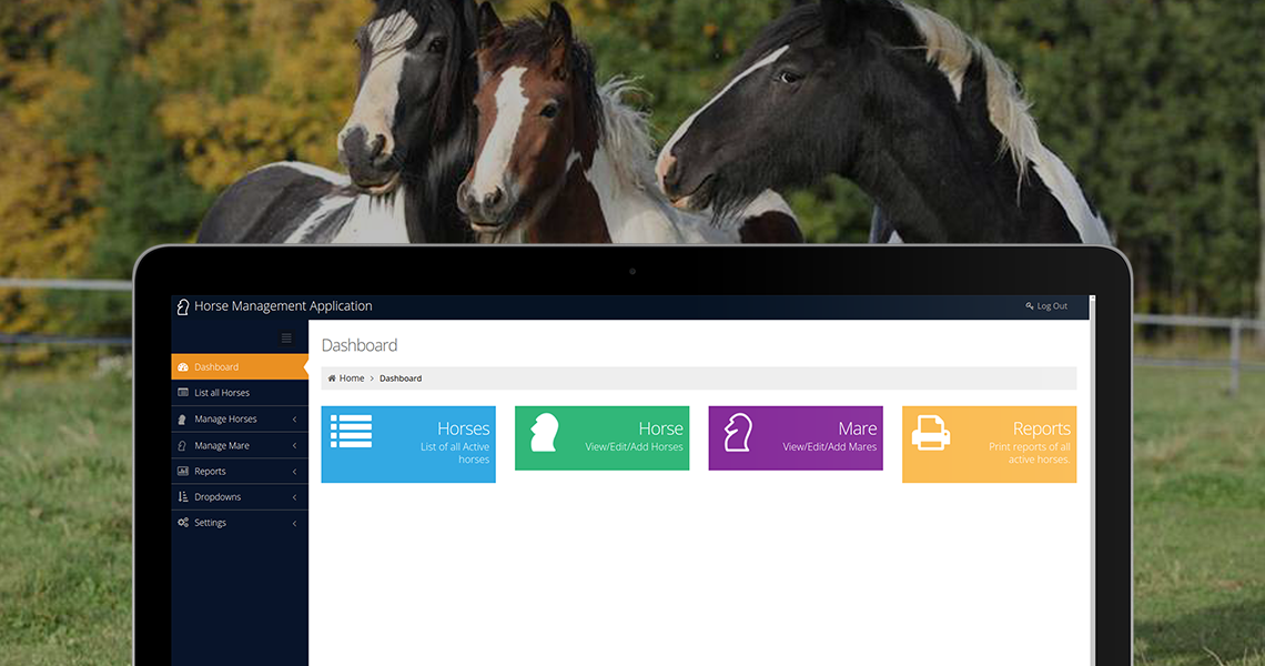 Horse Stable Management Solution - Top Solutions