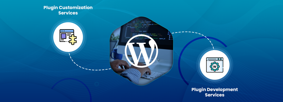 plugin development and customization service